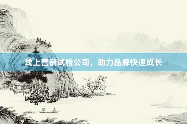 线上营销试验公司，助力品牌快速成长